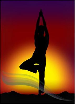 Product picture Fat Loss XL - Video & eBook Package