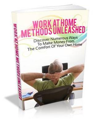 Product picture Work At Home Methods Unleashed